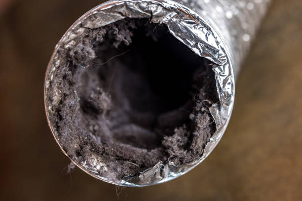 Professional Airduct Cleaning in Trinity, AL